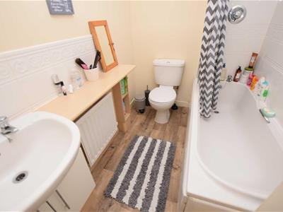 Picture 7